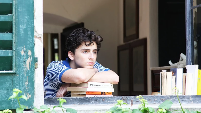 Έρχεται sequel του οσκαρικού Call Me By Your Name