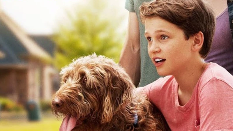 Στο ‘Think Like a Dog’ ο Gabriel Bateman μπορεί και διαβάζει τη σκέψη του σκύλου του! (ΒΙΝΤΕΟ)