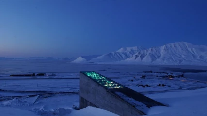 Το GitHub ολοκλήρωσε την αποθήκευση των αρχείων του στην Αρκτική