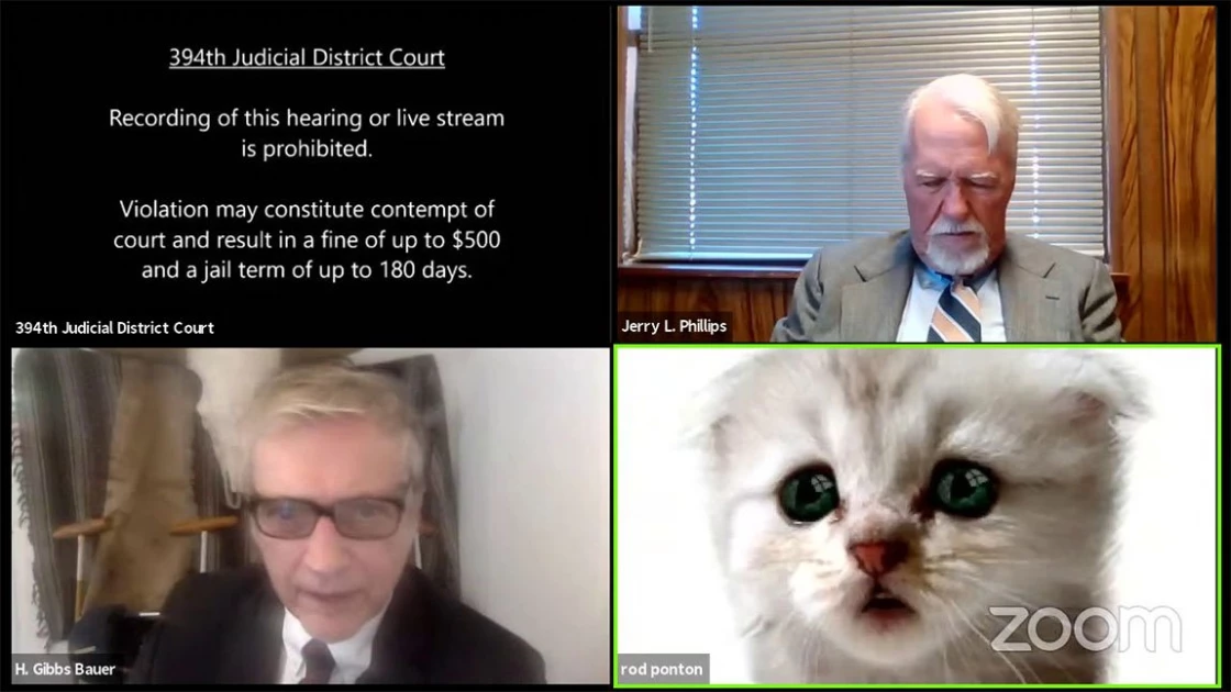 Δικηγόρος εμφανίζεται ως γάτα σε διαδικτυακή δίκη - Τα καλύτερα του Zoom (ΒΙΝΤΕΟ)