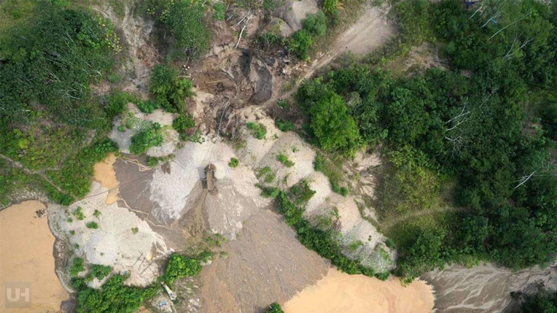 Drones για την ανίχνευση παράνομης υλοτομίας
