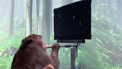 Neuralink: Πίθηκος παίζει pong μόνο με το μυαλό του (ΒΙΝΤΕΟ)