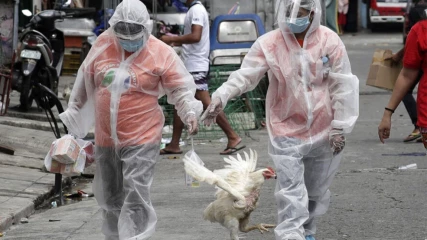 H5N8: Η γρίπη των πουλερικών έχει εξαπλωθεί σε 46 χώρες