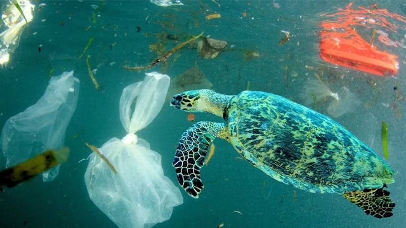 Νέα έρευνα αποκαλύπτει τι πρέπει να κάνουμε για τη ρύπανση των ωκεανών με πλαστικά