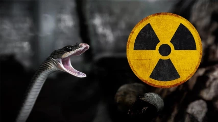 Ραδιενεργά φίδια βοηθούν τους επιστήμονες να μετρήσουν τη ραδιενέργεια στη Fukushima