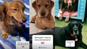 Viral εκστρατεία στο Instagram είναι τελικά απάτη