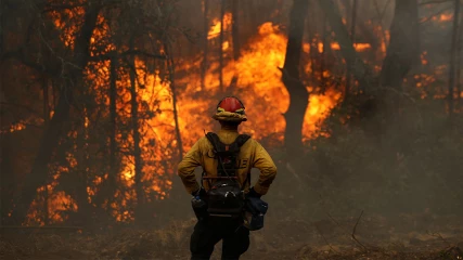 Ηνωμένα Έθνη: Πρέπει να υπάρξει αλλαγή στρατηγικής για τις πυρκαγιές