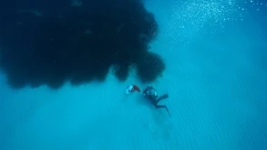 Υπάρχουν βουνά ζάχαρης κρυμμένα στους ωκεανούς