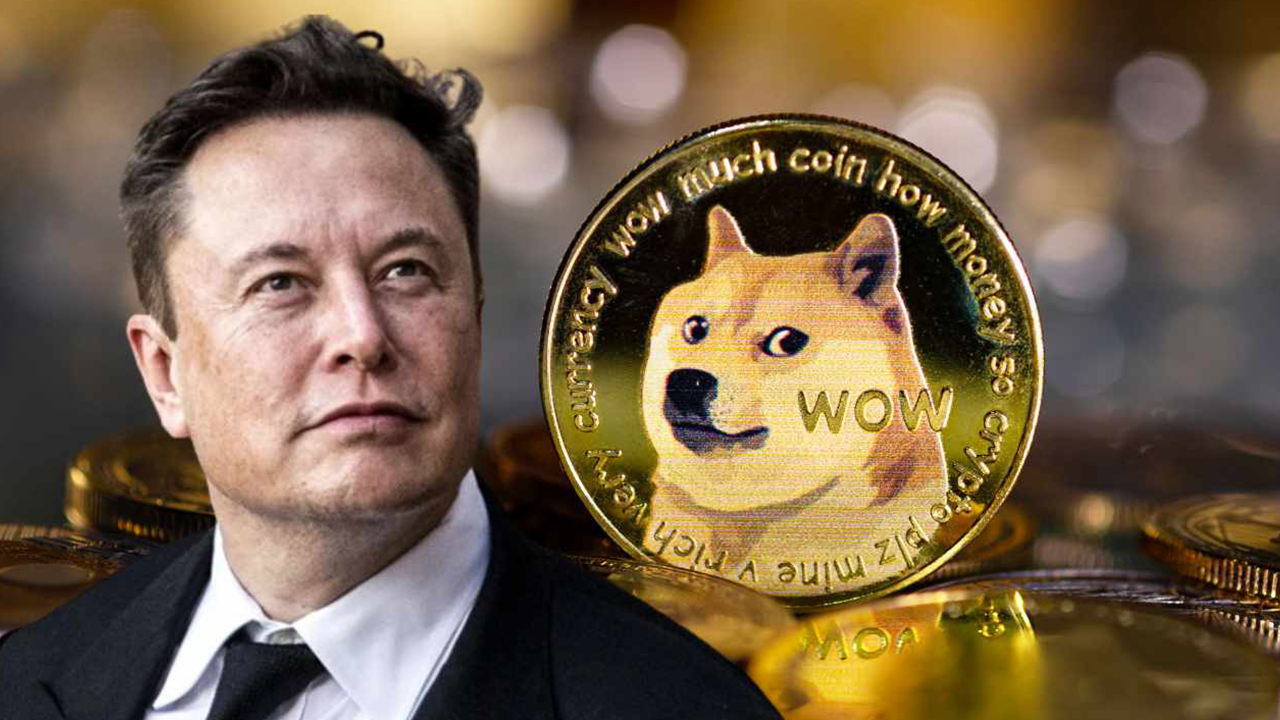 Ο Elon Musk επιτίθεται στον δημιουργό του Dogecoin: "Τα 12χρονα παιδιά μου έγραψαν καλύτερο κώδικα"