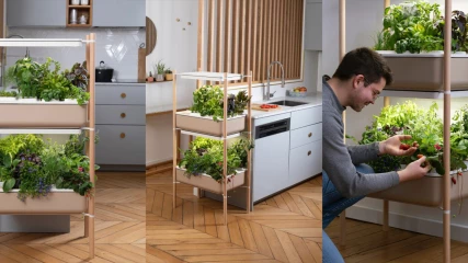 Multo: Καλλιεργήστε τα λαχανικά σας στην κουζίνα του σπιτιού σας