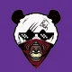 ImTheBruhPanda